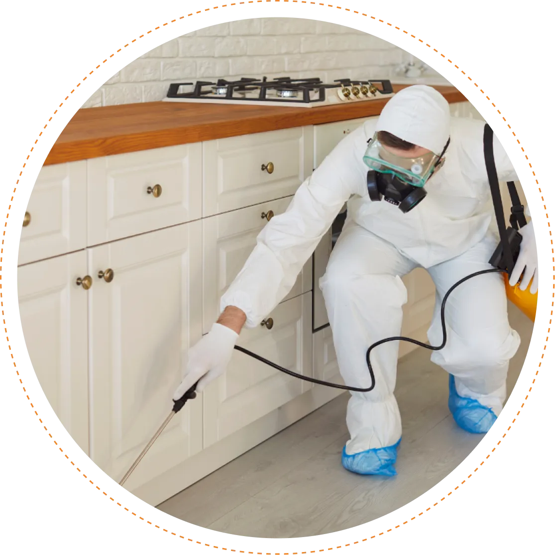 Gn3d Deratisation Bollene H1 Image